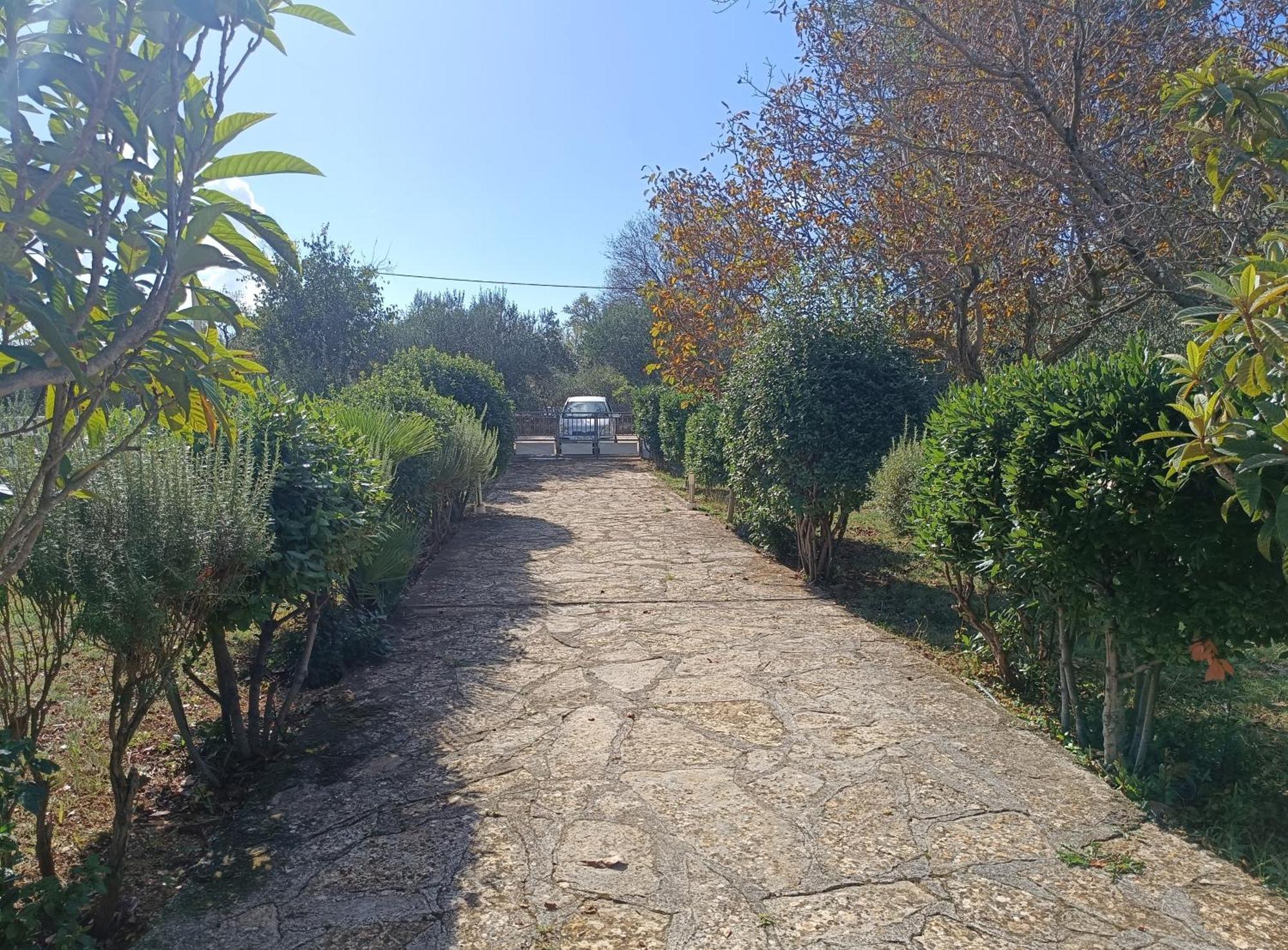 Holiday Home Visnja 벤코바츠 외부 사진